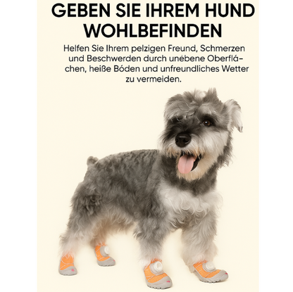 Hundeschuhe