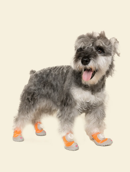 Hundeschuhe
